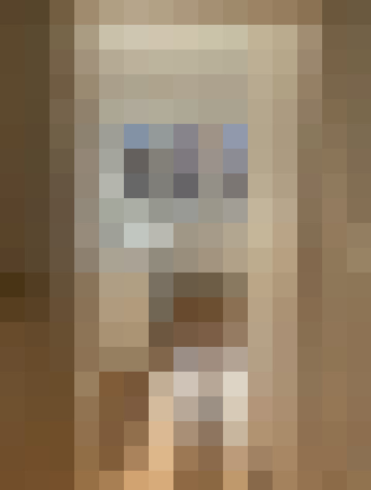 Image 13