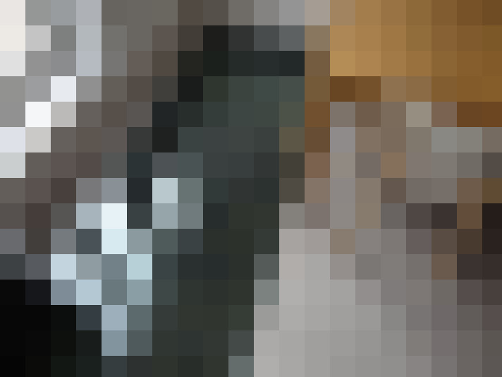 Image 46
