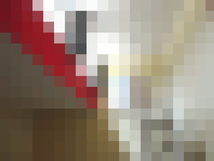 Image 21