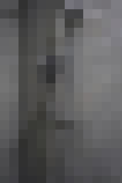 Image 31