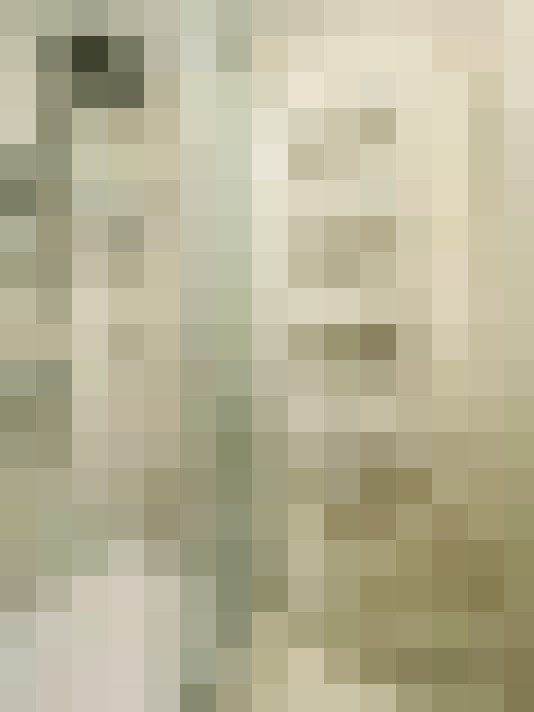 Image 25