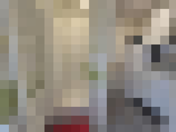 Image 20