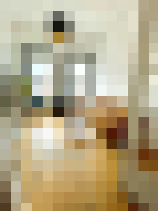 Image 25