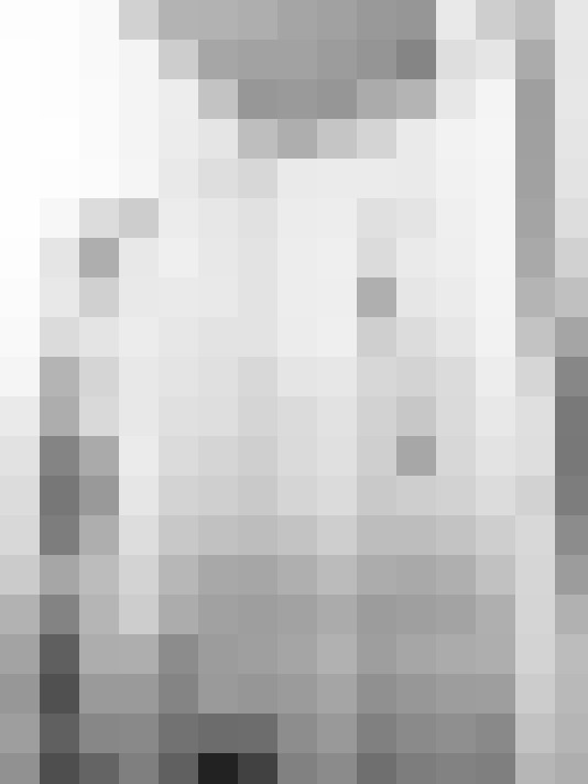Image 14