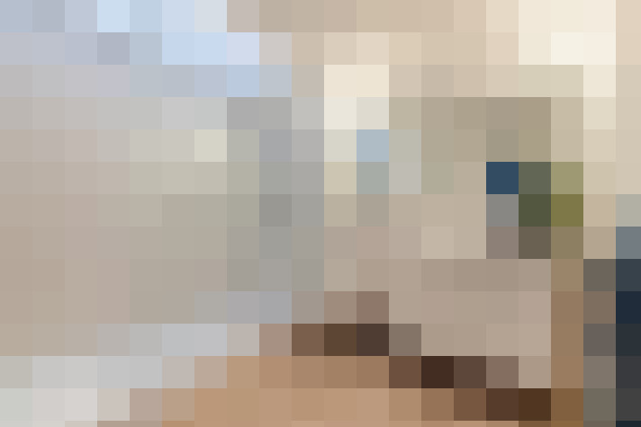 Image 28