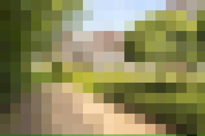 Image 21