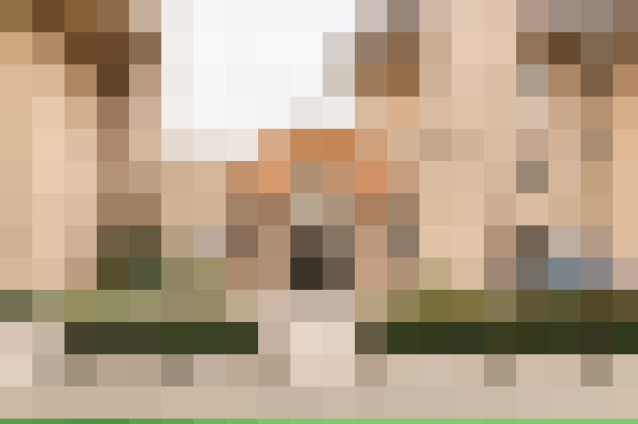 Image 33