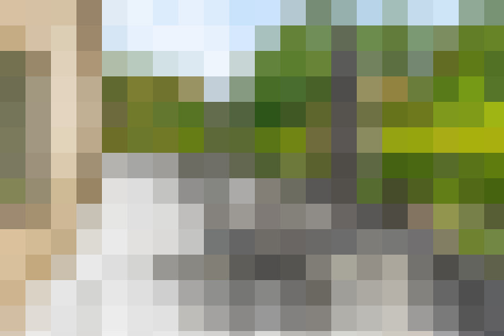 Image 20