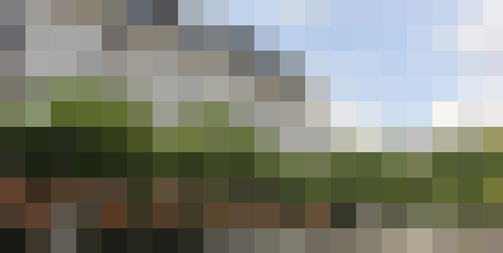 Image 24