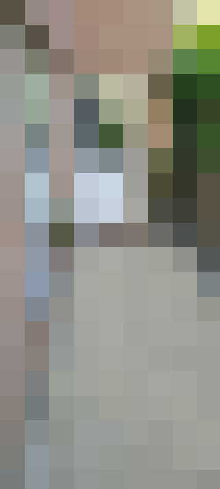 Image 15