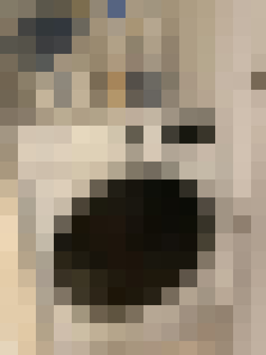 Image 20