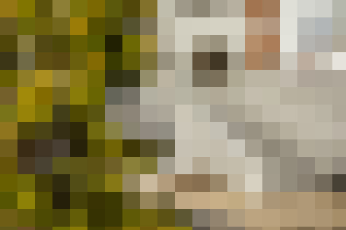 Image 23