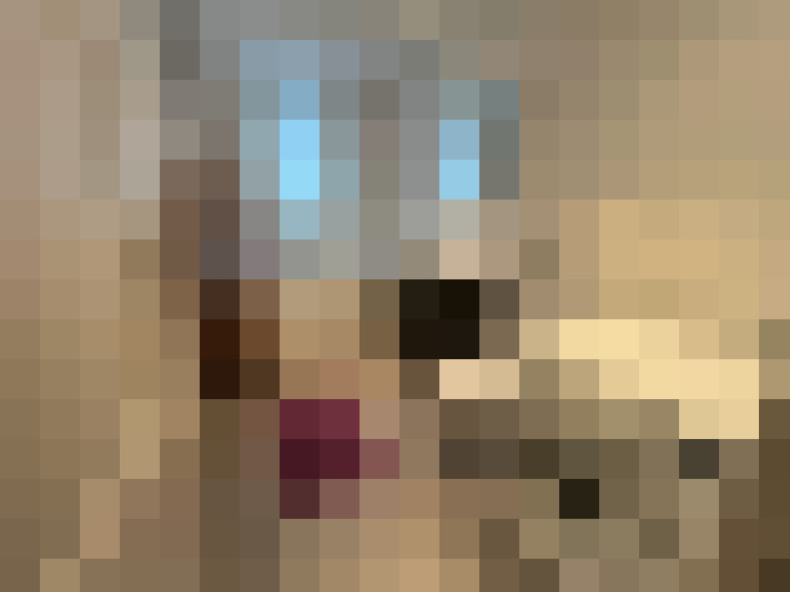 Image 17