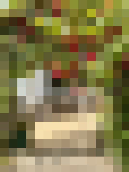Image 23