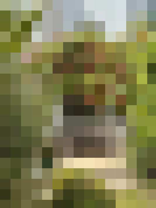 Image 22