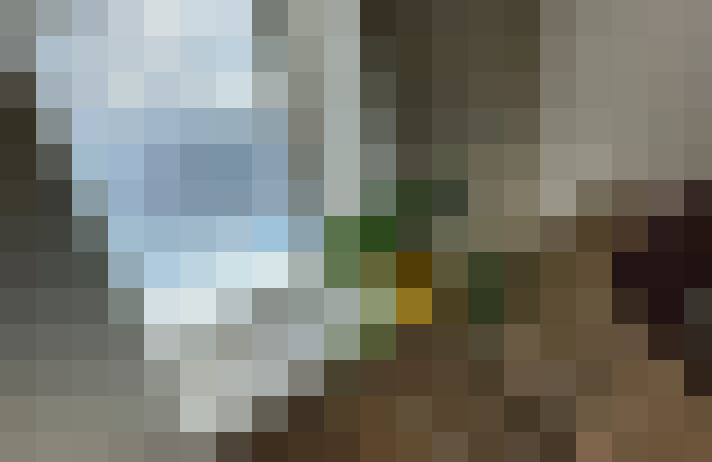 Image 13