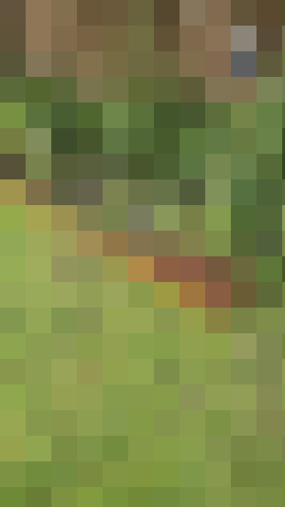 Image 24