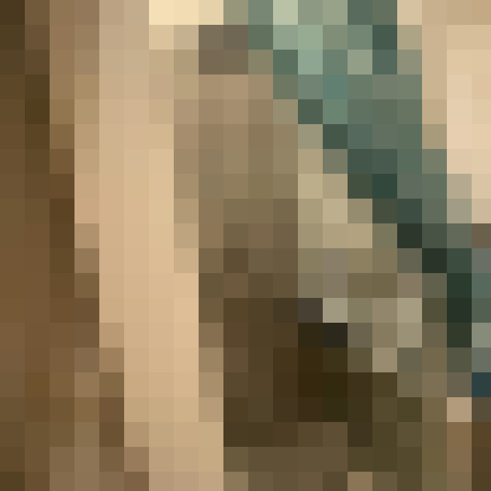 Image 22