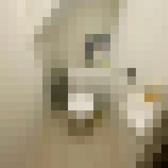 Image 20