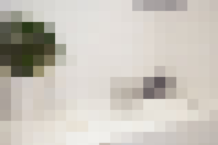 Image 20