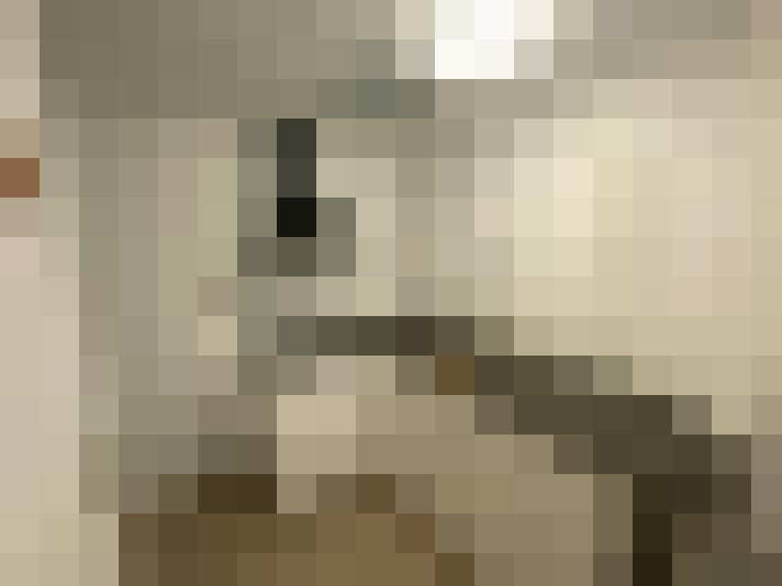 Image 20
