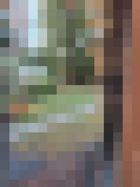 Image 17