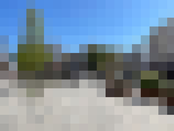 Image 15