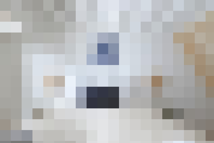 Image 17