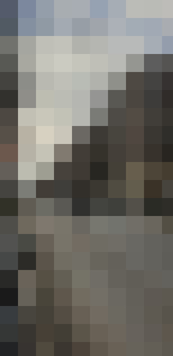 Image 22