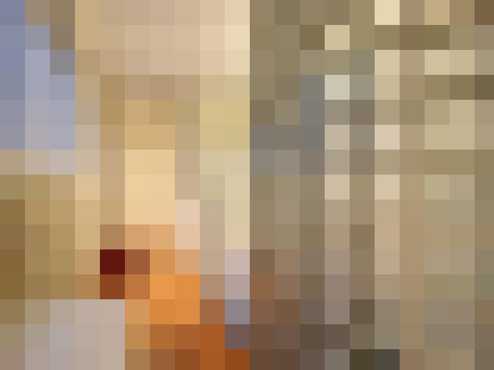 Image 20