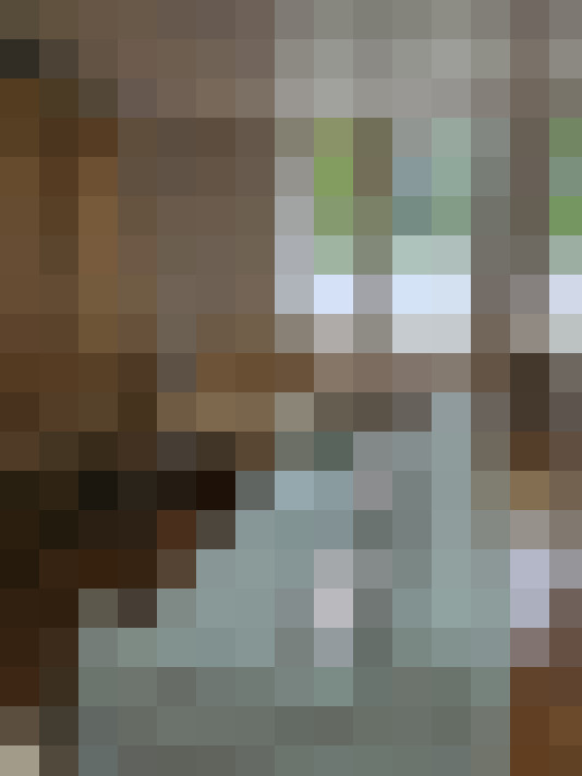 Image 17