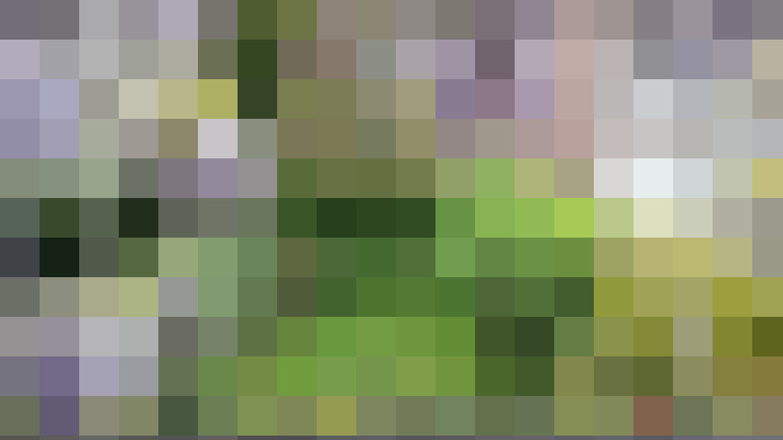 Image 24