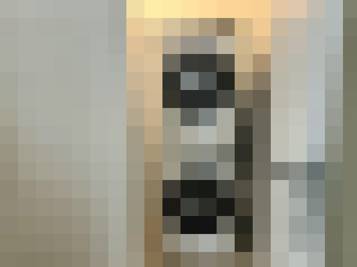 Image 31
