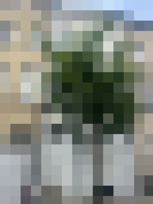 Image 13