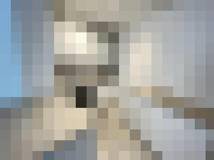Image 16