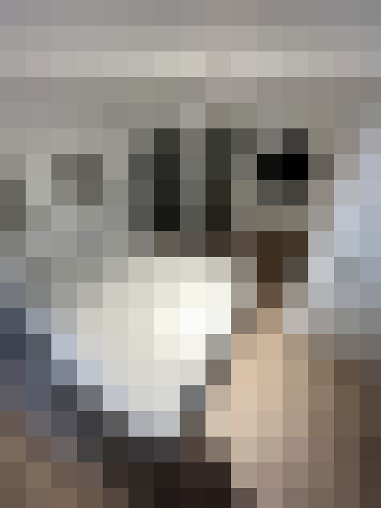 Image 17