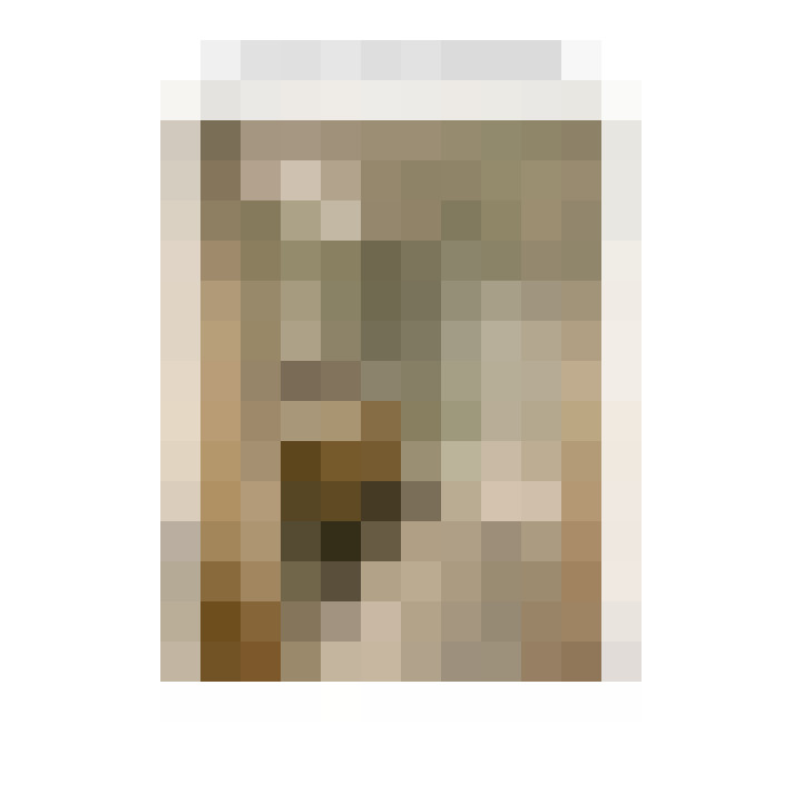 Image 16