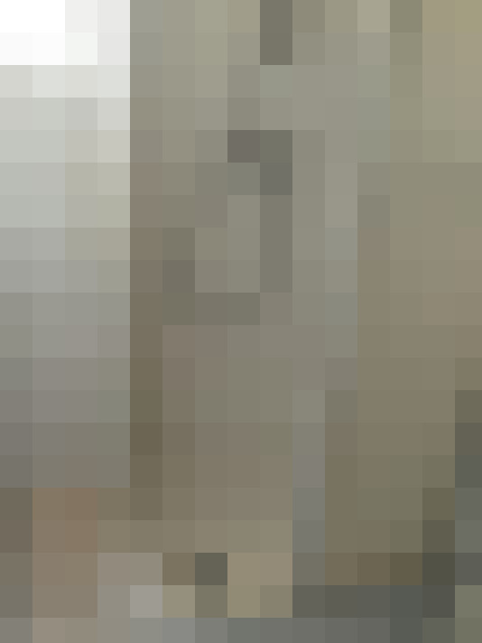 Image 13