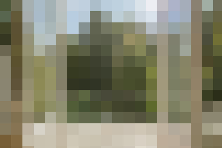Image 14