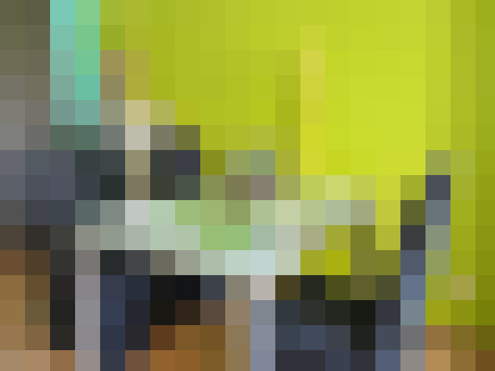 Image 13