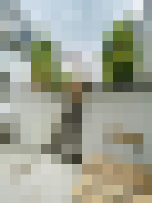 Image 14