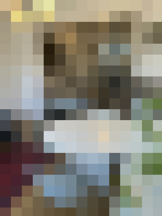 Image 32