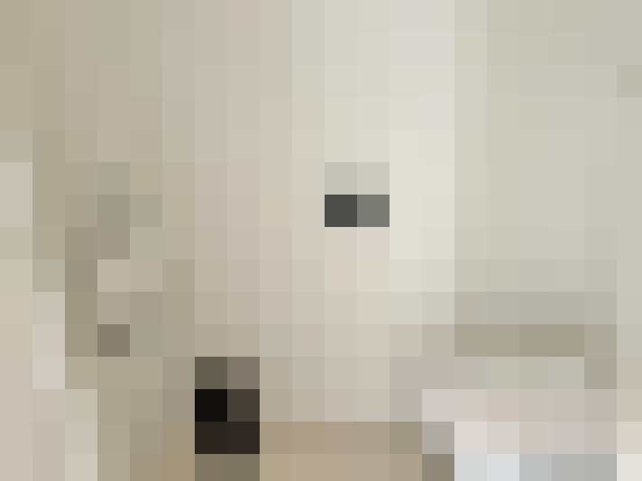 Image 32