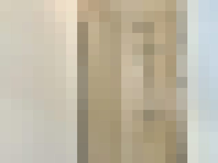 Image 29