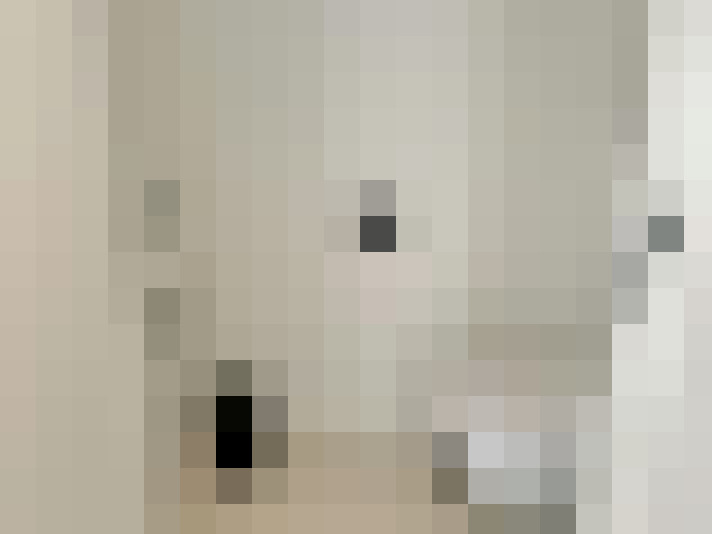 Image 35