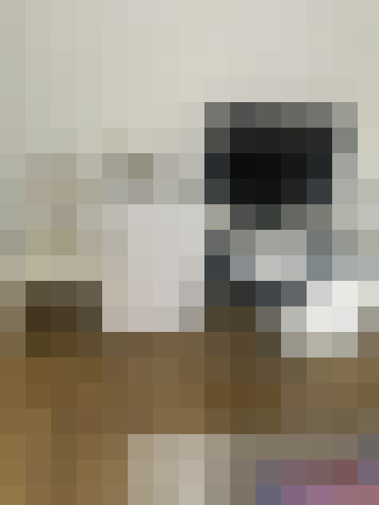 Image 17