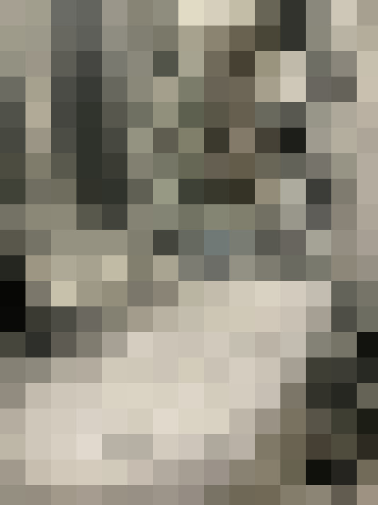 Image 32