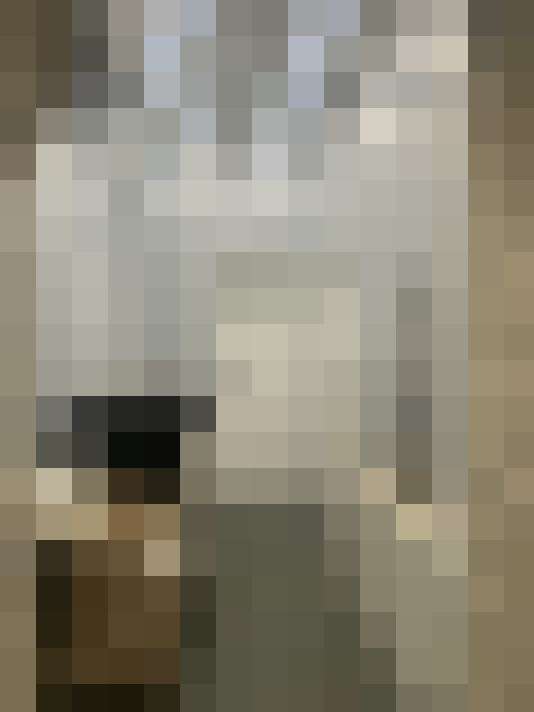 Image 40