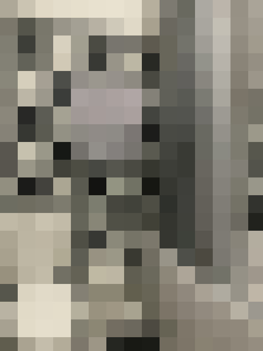 Image 28