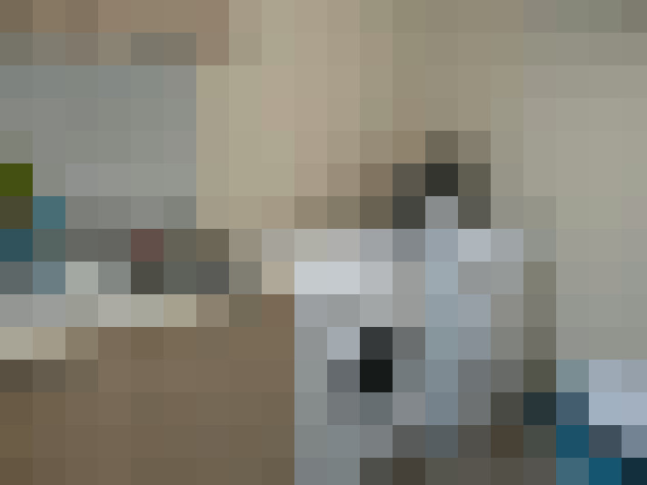Image 14